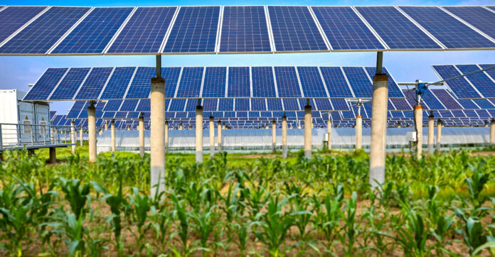 Der Einsatz von „Agri-Photovoltaik“ erfordert spezielle Anforderungen an die ökologische Verträglichkeit eingesetzter Solarreinigungsmedien